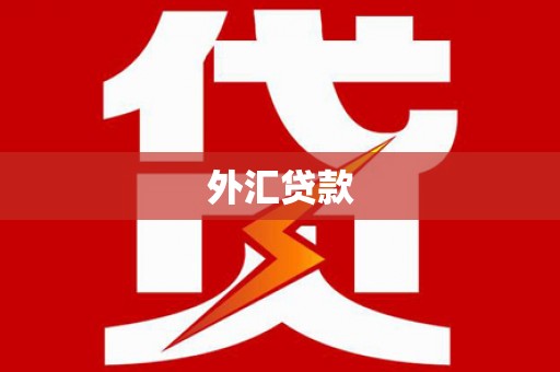 称多外汇贷款