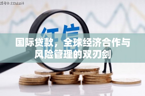 称多国际贷款，全球经济合作与风险管理的双刃剑