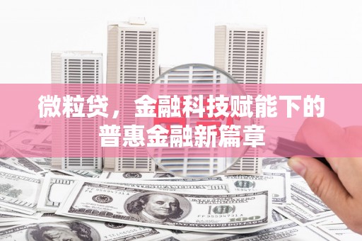 称多微粒贷，金融科技赋能下的普惠金融新篇章