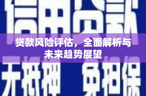 称多贷款风险评估，全面解析与未来趋势展望
