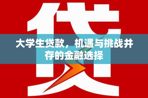 称多大学生贷款，机遇与挑战并存的金融选择