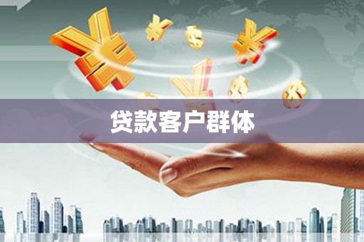 称多贷款客户群体