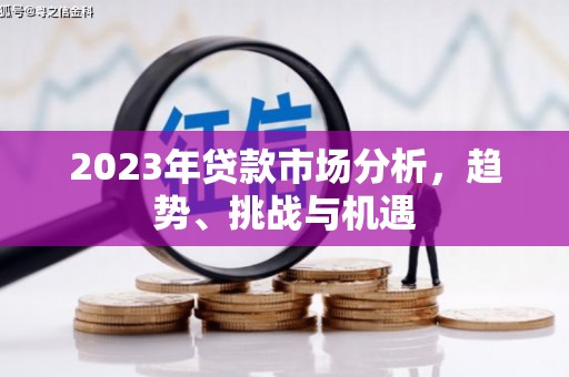 称多2023年贷款市场分析，趋势、挑战与机遇