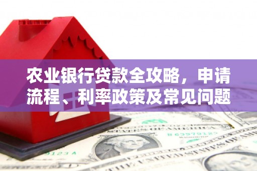 称多农业银行贷款全攻略，申请流程、利率政策及常见问题解析