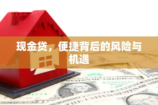 称多现金贷，便捷背后的风险与机遇