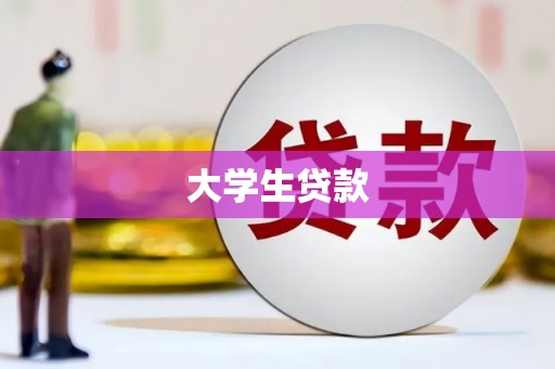 称多大学生贷款