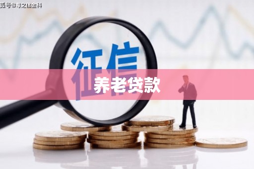 称多养老贷款