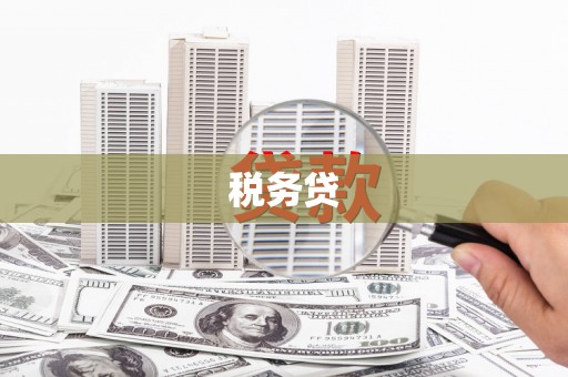 称多税务贷