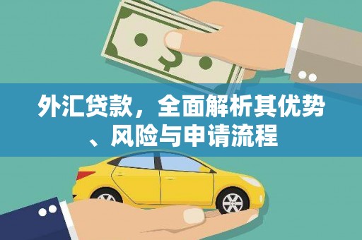 称多外汇贷款，全面解析其优势、风险与申请流程