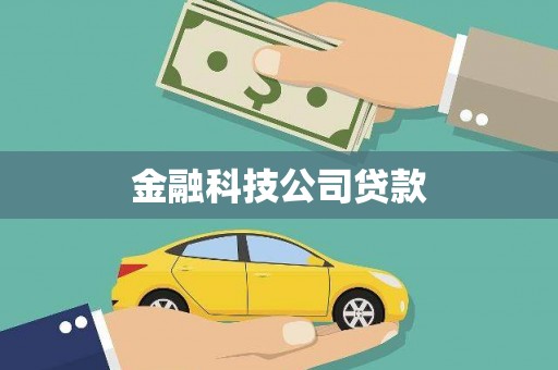 称多金融科技公司贷款