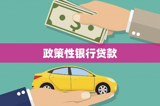 称多政策性银行贷款