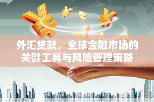 称多外汇贷款，全球金融市场的关键工具与风险管理策略