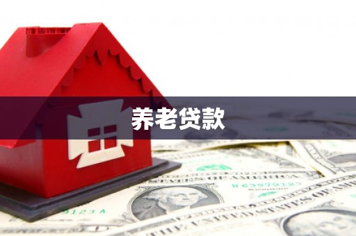 称多养老贷款