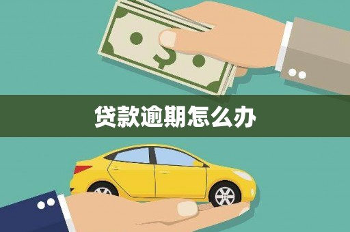 称多贷款逾期怎么办