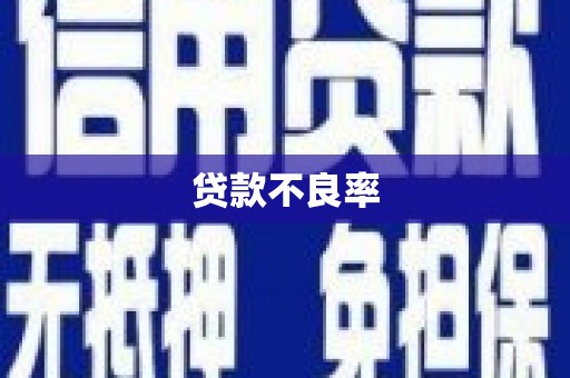 称多贷款不良率