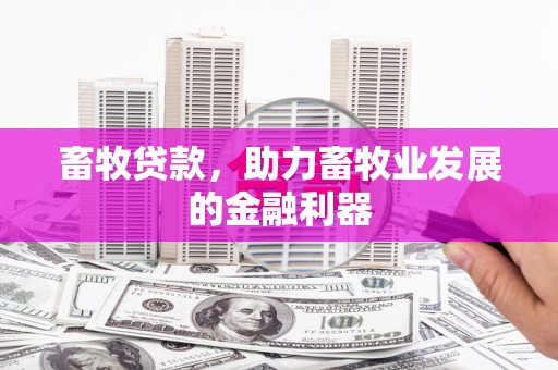 称多畜牧贷款，助力畜牧业发展的金融利器