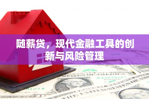 称多随薪贷，现代金融工具的创新与风险管理