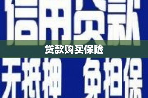 称多贷款购买保险