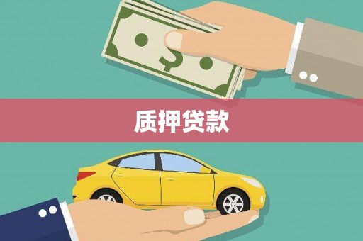 称多质押贷款