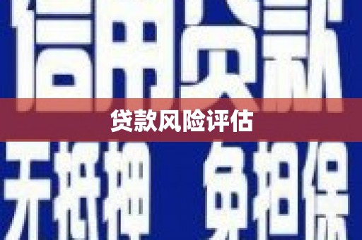 称多贷款风险评估