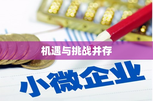 称多机遇与挑战并存