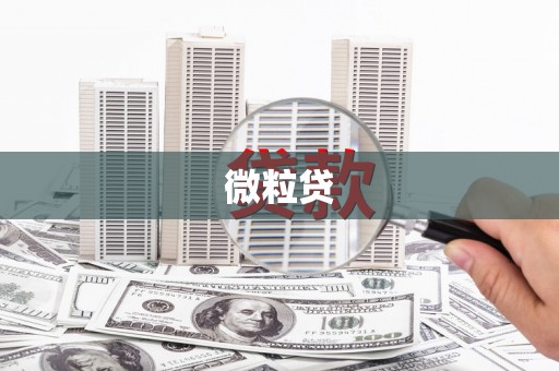 称多微粒贷