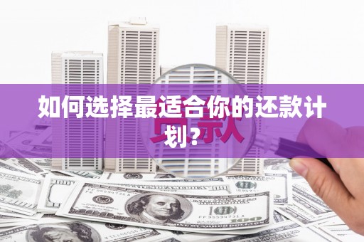 称多如何选择最适合你的还款计划？