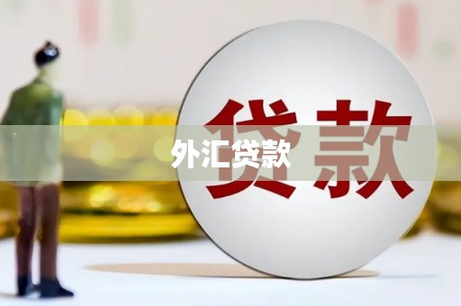 称多外汇贷款