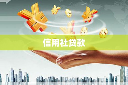 称多信用社贷款