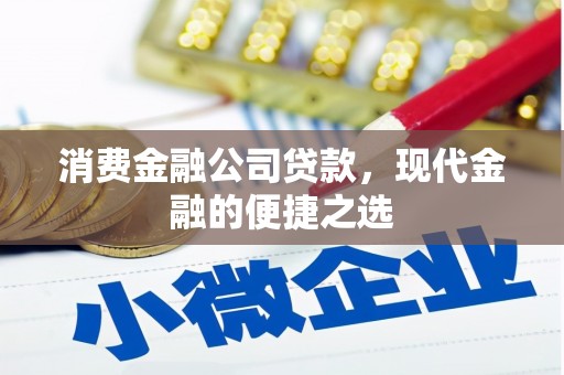 称多消费金融公司贷款，现代金融的便捷之选