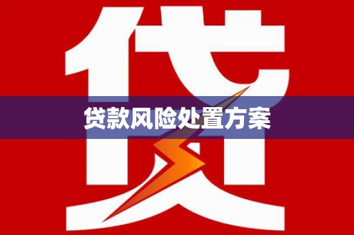 称多贷款风险处置方案