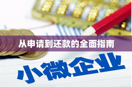 称多从申请到还款的全面指南