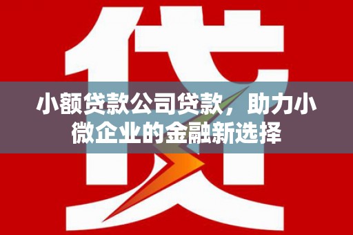 称多小额贷款公司贷款，助力小微企业的金融新选择