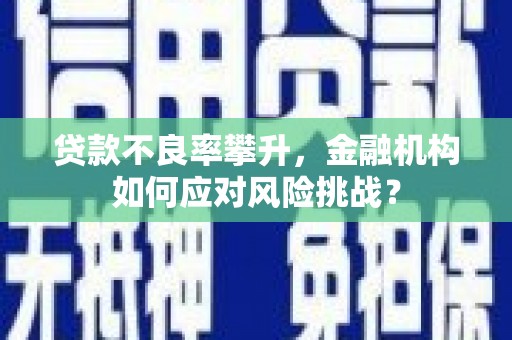 称多贷款不良率攀升，金融机构如何应对风险挑战？