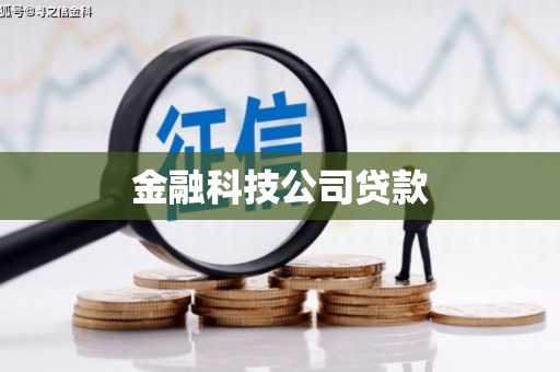 称多金融科技公司贷款