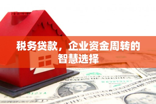 称多税务贷款，企业资金周转的智慧选择