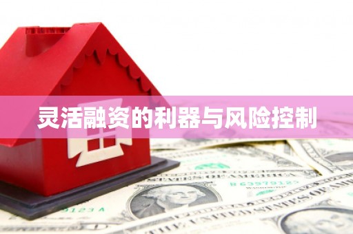称多灵活融资的利器与风险控制