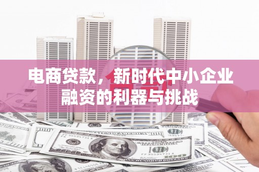 称多电商贷款，新时代中小企业融资的利器与挑战