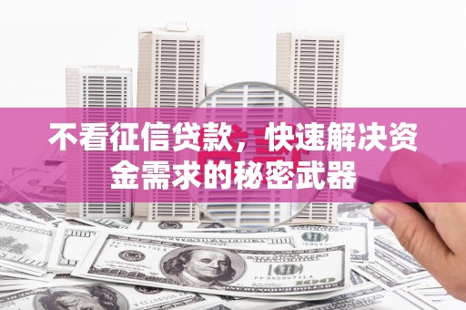 称多不看征信贷款，快速解决资金需求的秘密武器