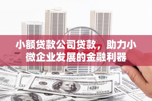 称多小额贷款公司贷款，助力小微企业发展的金融利器