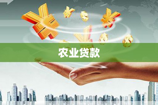 称多农业贷款