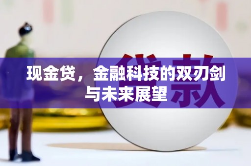 称多现金贷，金融科技的双刃剑与未来展望