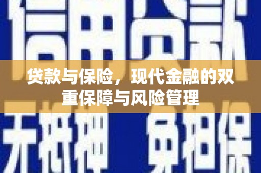 称多贷款与保险，现代金融的双重保障与风险管理