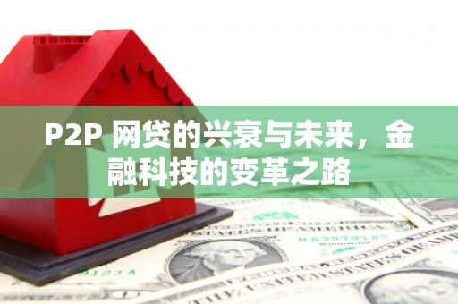 称多P2P 网贷的兴衰与未来，金融科技的变革之路