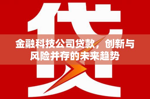 称多金融科技公司贷款，创新与风险并存的未来趋势
