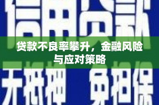 称多贷款不良率攀升，金融风险与应对策略