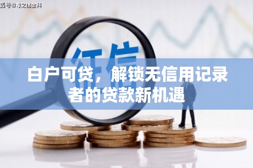 称多白户可贷，解锁无信用记录者的贷款新机遇