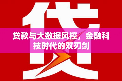 称多贷款与大数据风控，金融科技时代的双刃剑