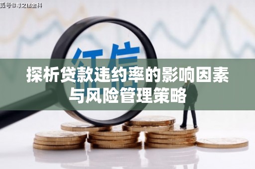 称多探析贷款违约率的影响因素与风险管理策略