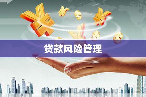 称多贷款风险管理
